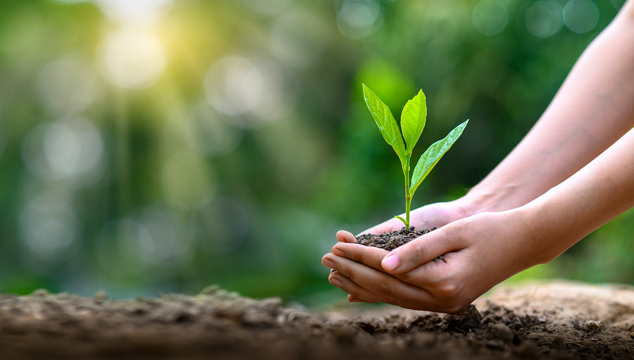 5 de junio, día internacional del medio ambiente.